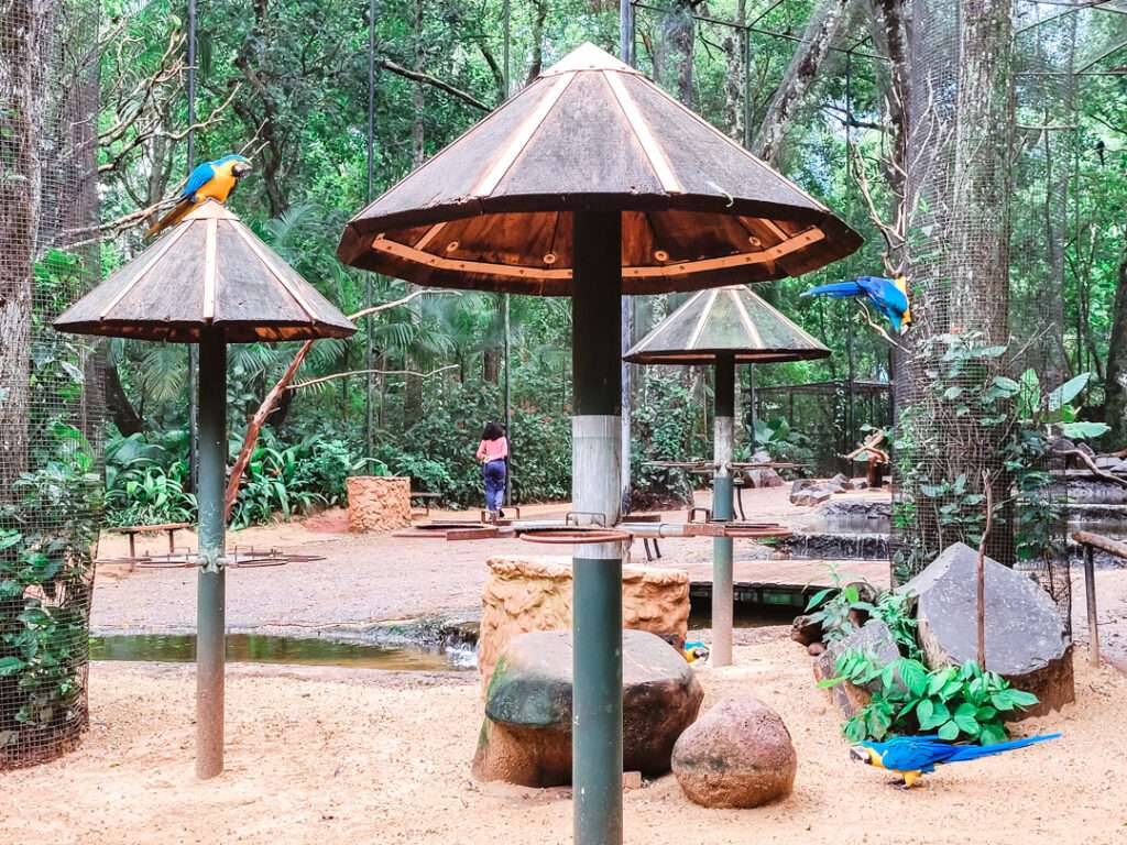 Parque das aves